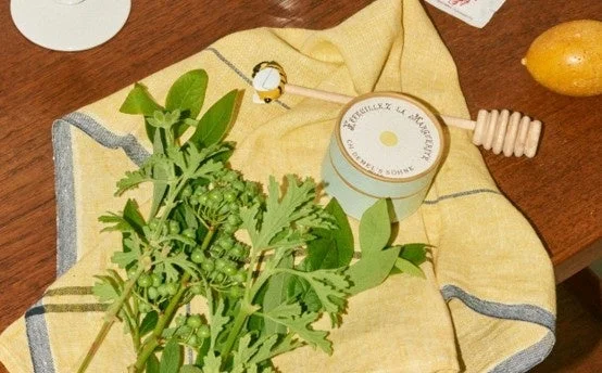 カモミールとハーブのイメージ