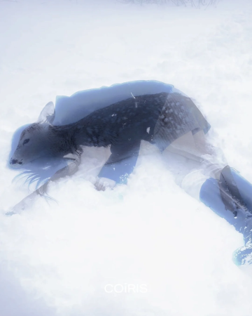 鹿と少女のコラージュ