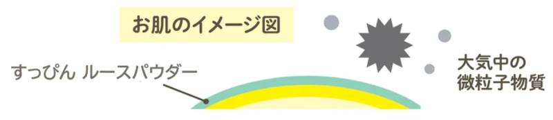 肌保護のイメージ図