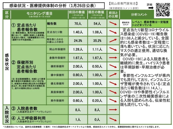 感染状況・医療提供体制の分析詳細