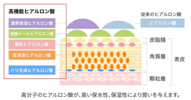ヒアルロン酸の働きを示す図