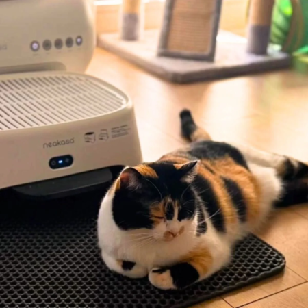 空気清浄機能付き猫砂ステップAirStepと猫