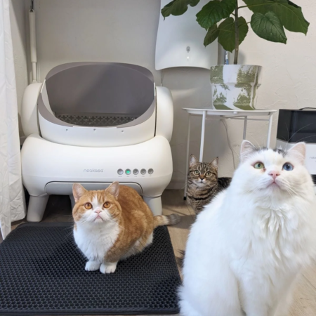 全自動猫トイレM1と猫たち