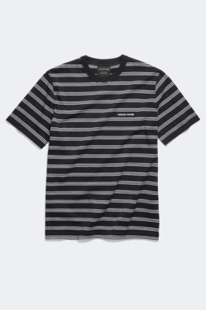 Tシャツ ボーダー