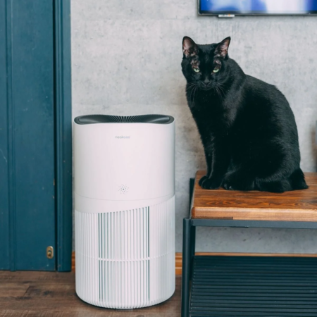 ペット向け空気清浄機A1 Proと黒猫