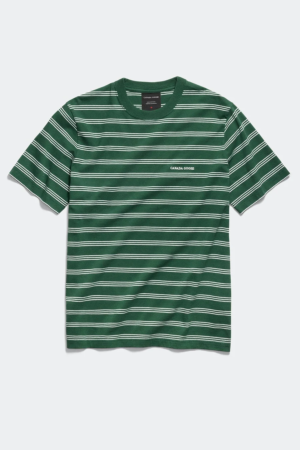 Tシャツ ストライプ