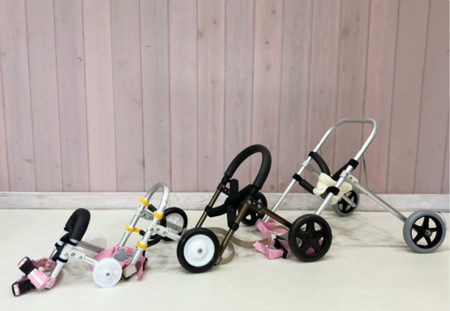 サイズの異なる複数のペット用車椅子