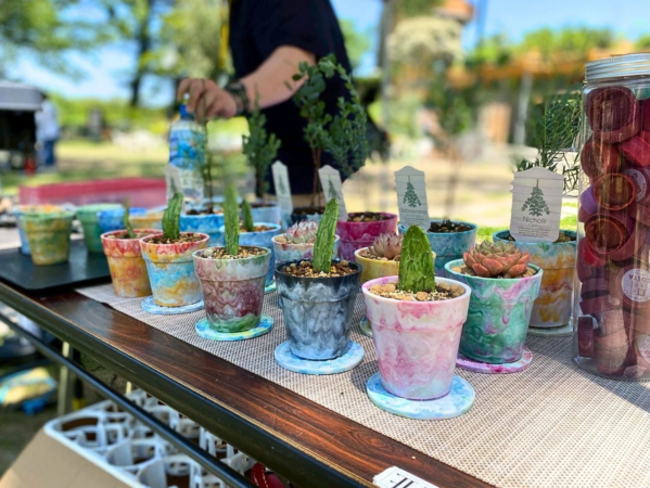 多肉植物やサボテンが並ぶ屋外のテーブル