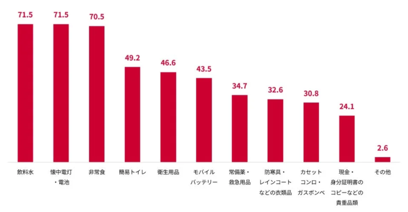 非常用持ち出し袋として準備しているもの