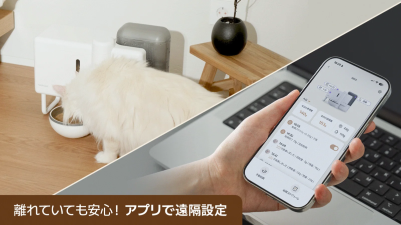 自動給餌器で食事をする猫と、それをスマートフォンアプリで遠隔管理する様子