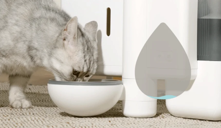 グレーのタビー猫が白いモダンな自動給餌器・給水器から食事